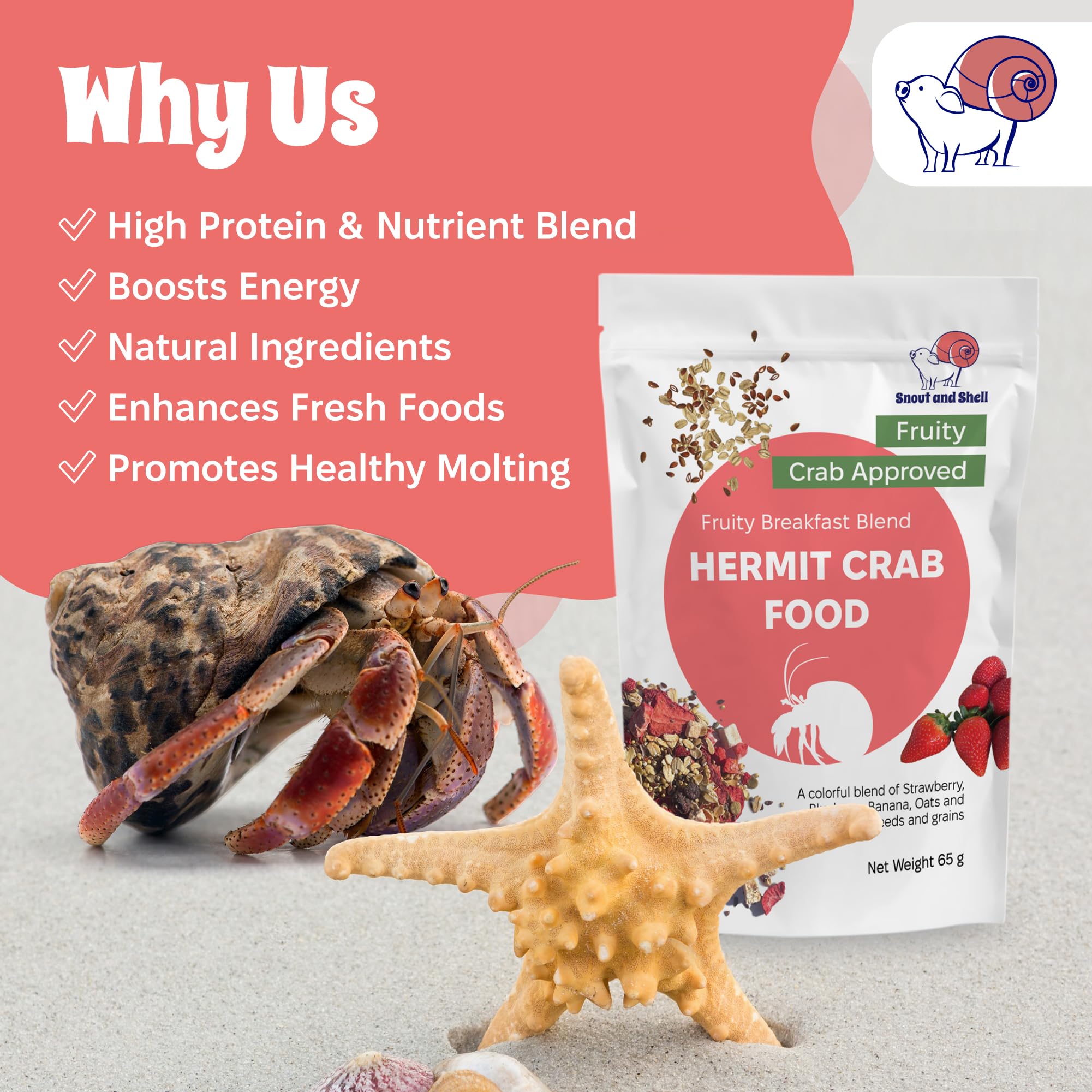 Snout and Shell sprouted grains mix closeup showcasing wholesome ingredients.