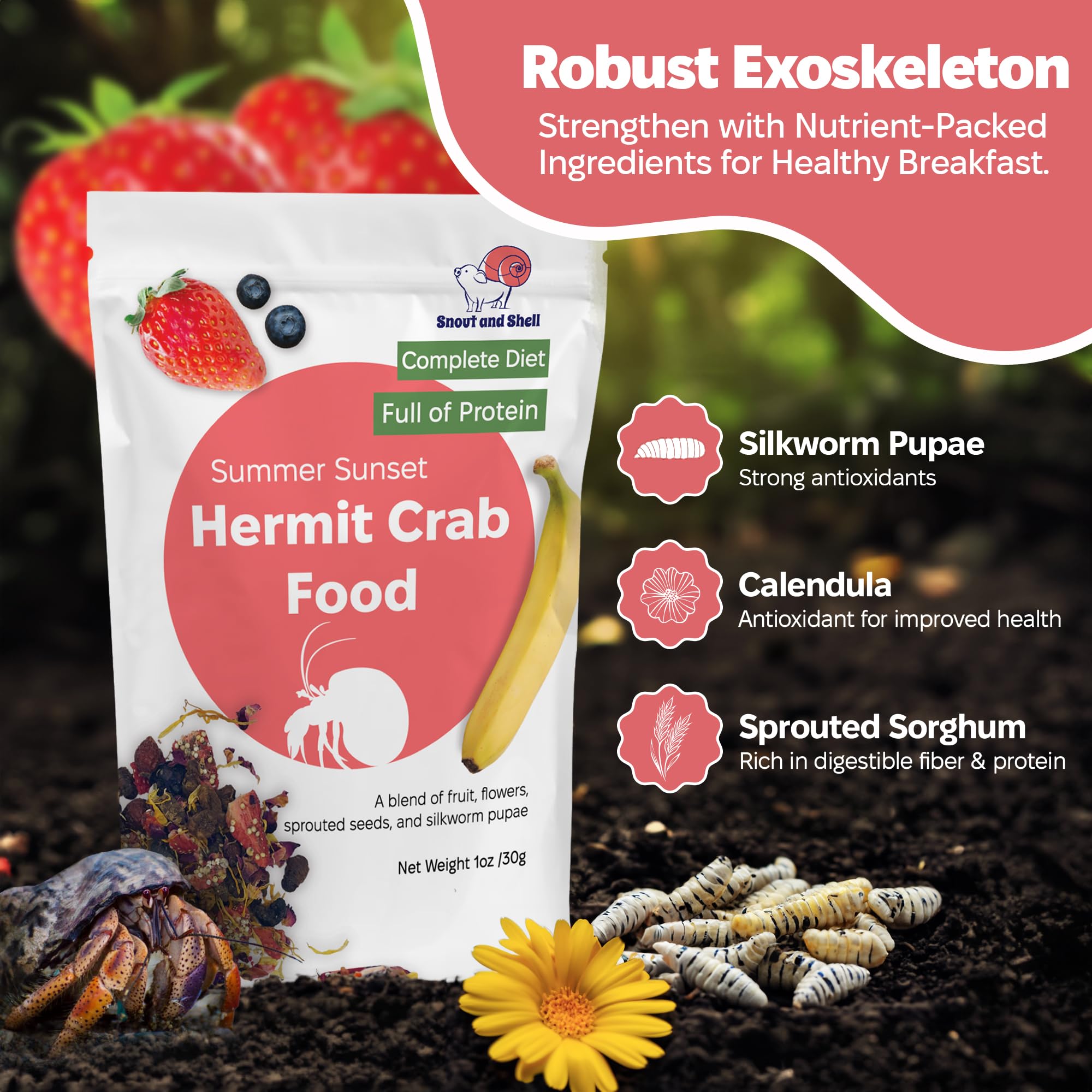 Snout and Shell Summer Sunset berries and botanicals mix offers a colorful, natural diet.