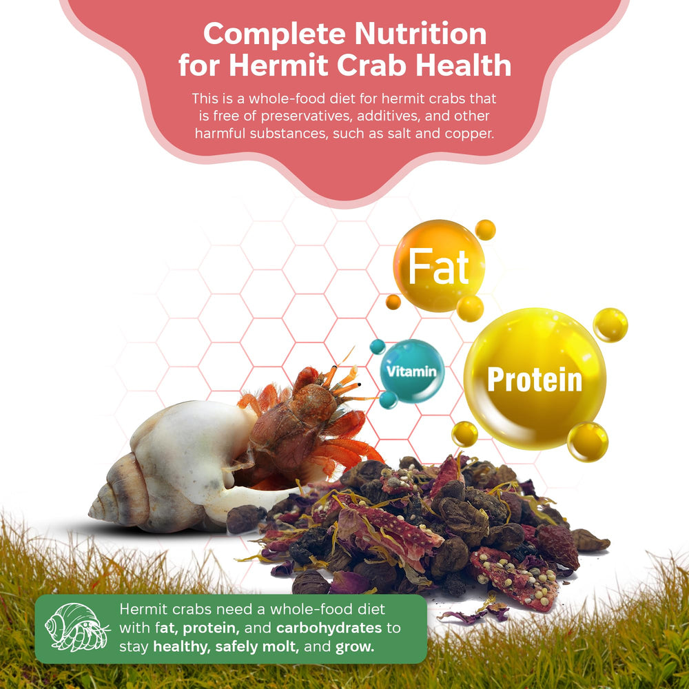Snout and Shell Summer Sunset sprouted grains offer calcium and energy during shedding.