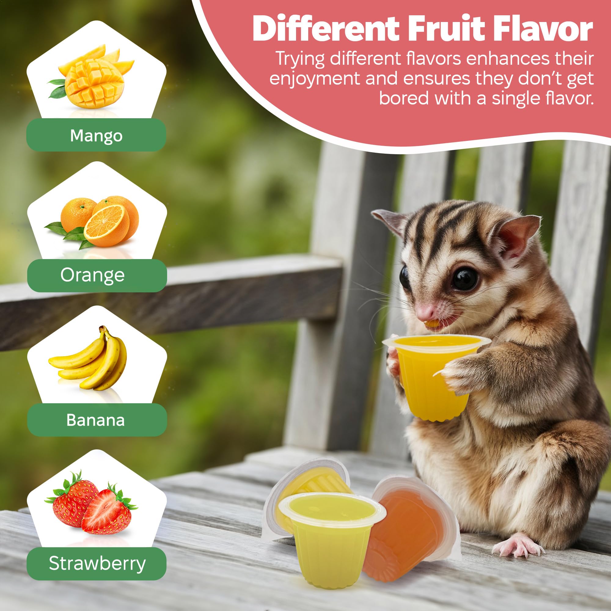 Snout and Shell jelly pods easy-peel top for mess-free daily feeding.