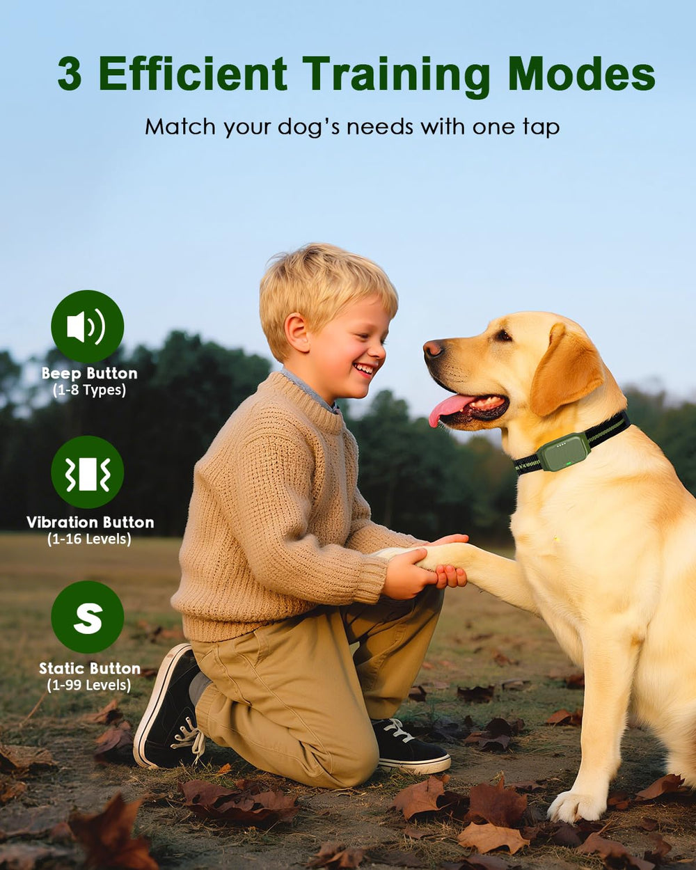 Snsng dog collar Beep mode alert for distraction-free recalls