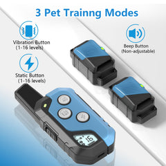 Snsng training collar beeps to cue dogs during calm training sessions.