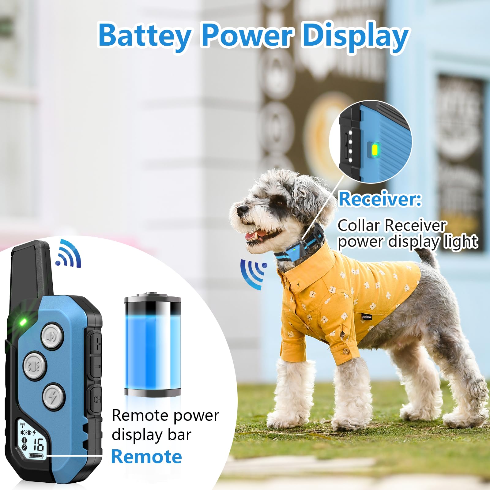 Snsng waterproof collar receiver ready for all-weather training.