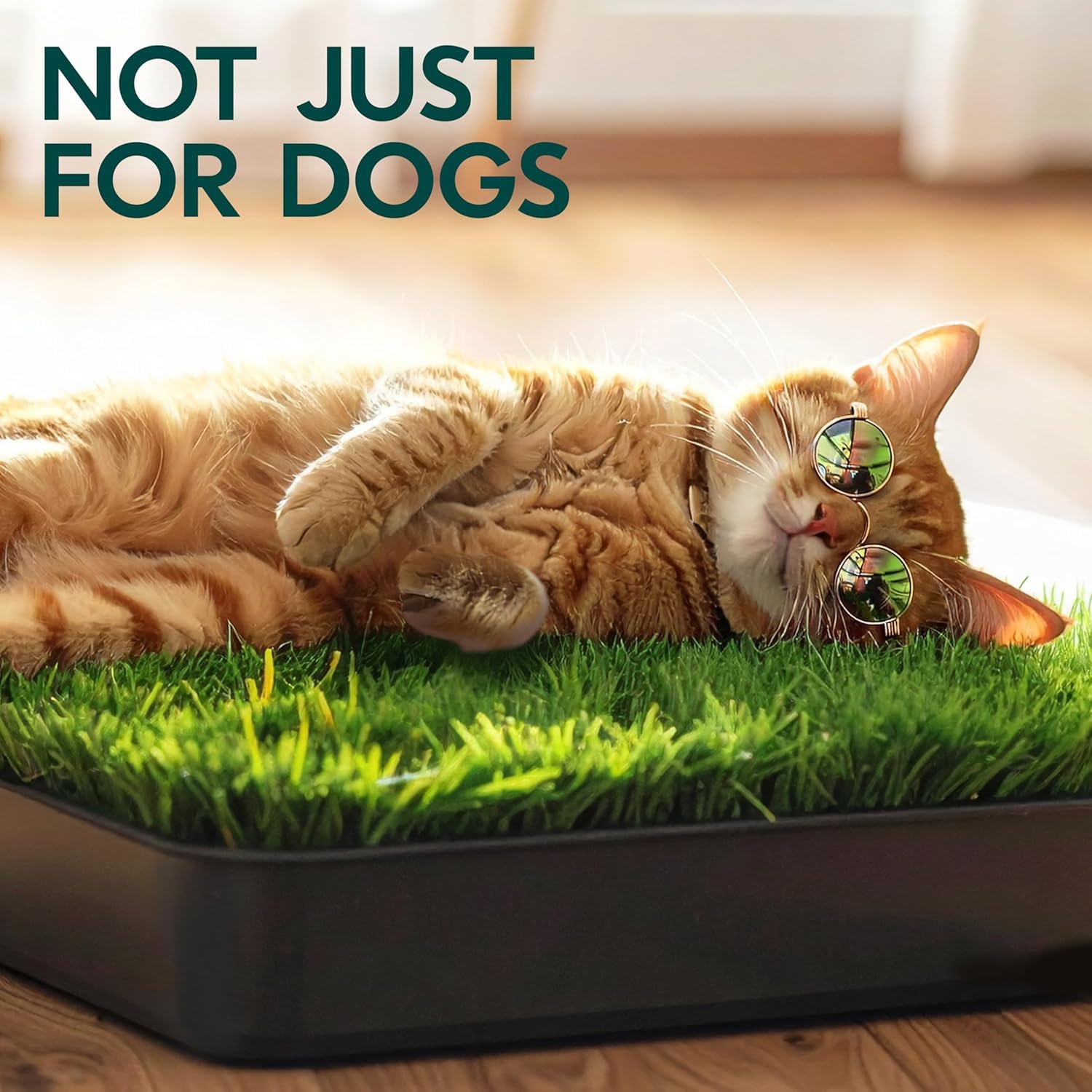 Storage box with tray from Snugen for organized pet potty setup