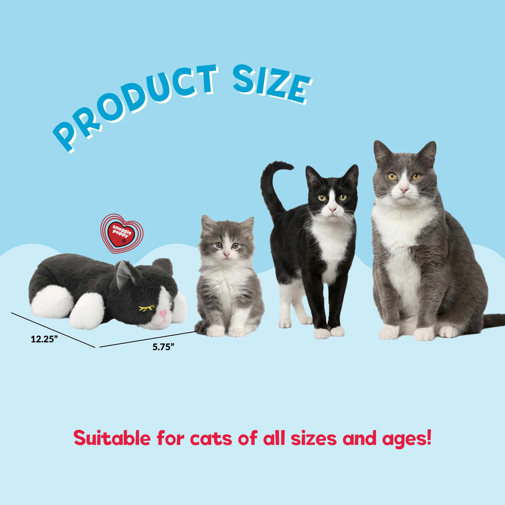 Snuggle Kitty supports kittens and cats during new-home transitions.