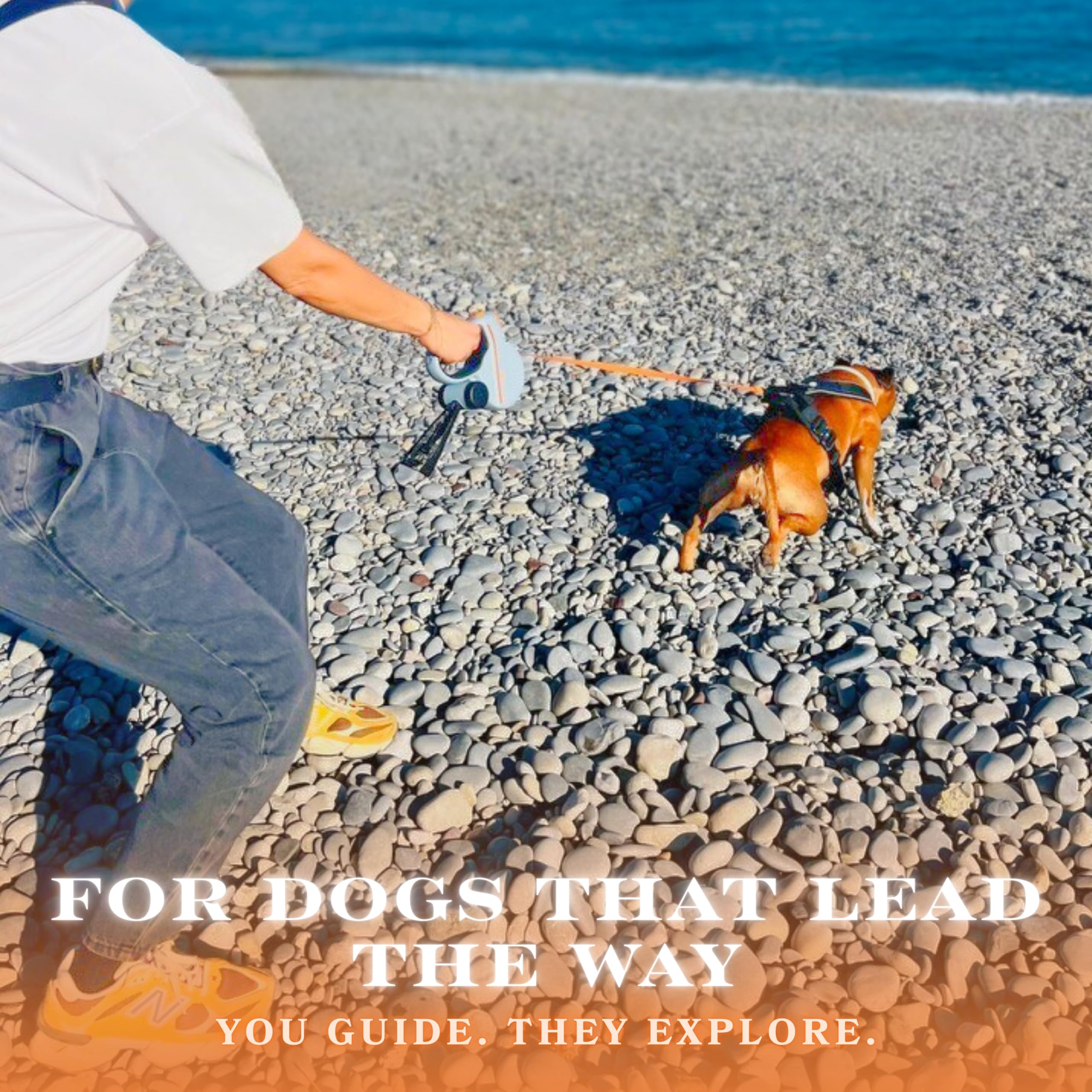 Snuggle Paws leash supports dogs up to 66 lbs for versatile use.