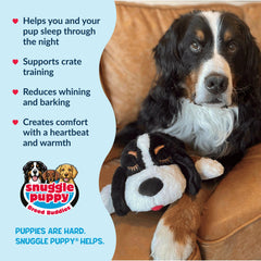 Snuggle Puppy Bernese Mountain Dog appearance provides visual comfort.