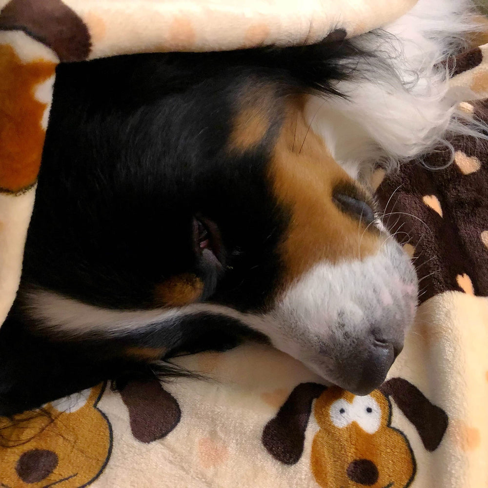 Snuggle Puppy blanket as couch cover protects furniture from shedding.