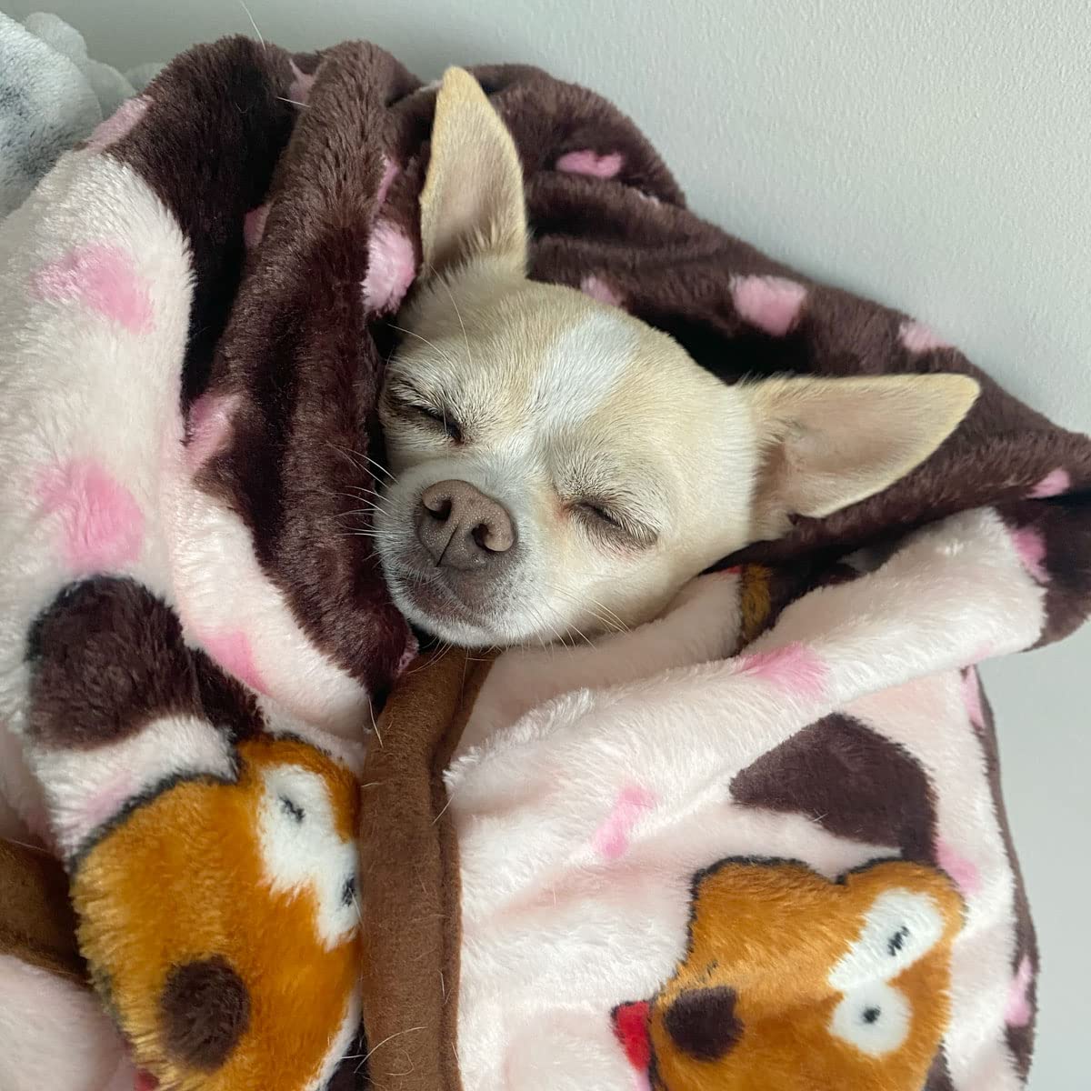 Snuggle Puppy blanket as couch cover to trap shedding and protect furniture.
