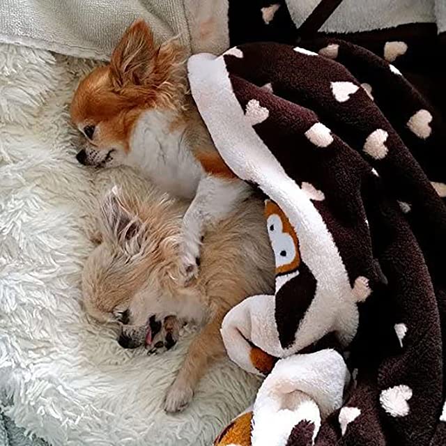 Snuggle Puppy blanket with washing label highlights easy machine washing.