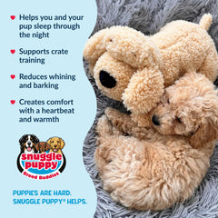 Snuggle Puppy breed-buddy doodle appearance resembles Goldendoodle.