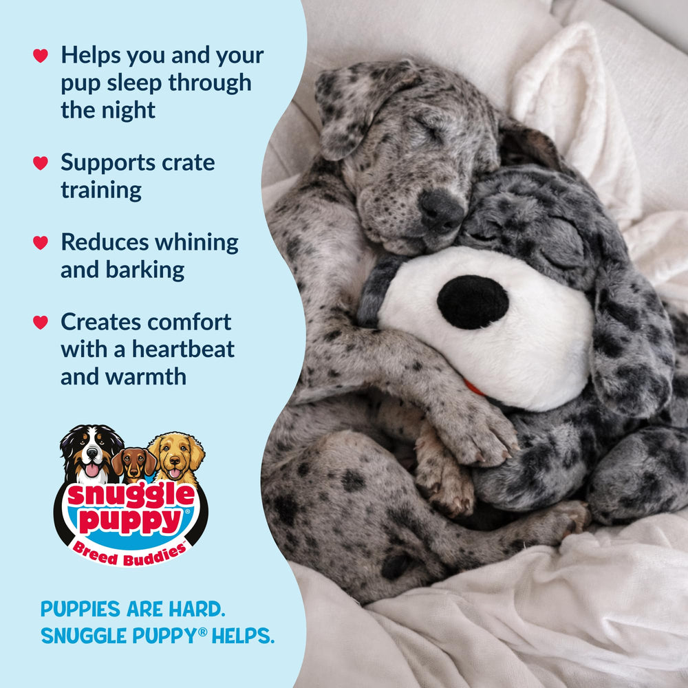 Crate-time friendly design helps soothe during first nights.