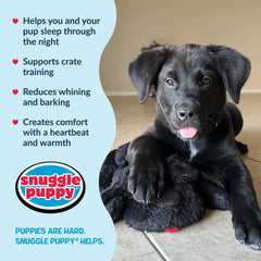 Snuggle Puppy crate-training use highlights a friendly, steady companion.