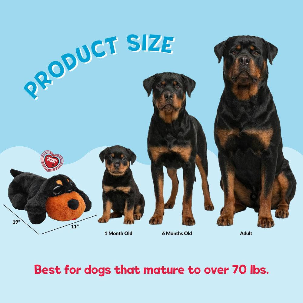 Snuggle Puppy heat pack removable for gentle warmth during crate time