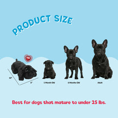 Snuggle Puppy Junior plush with real feel pulse for restful naps