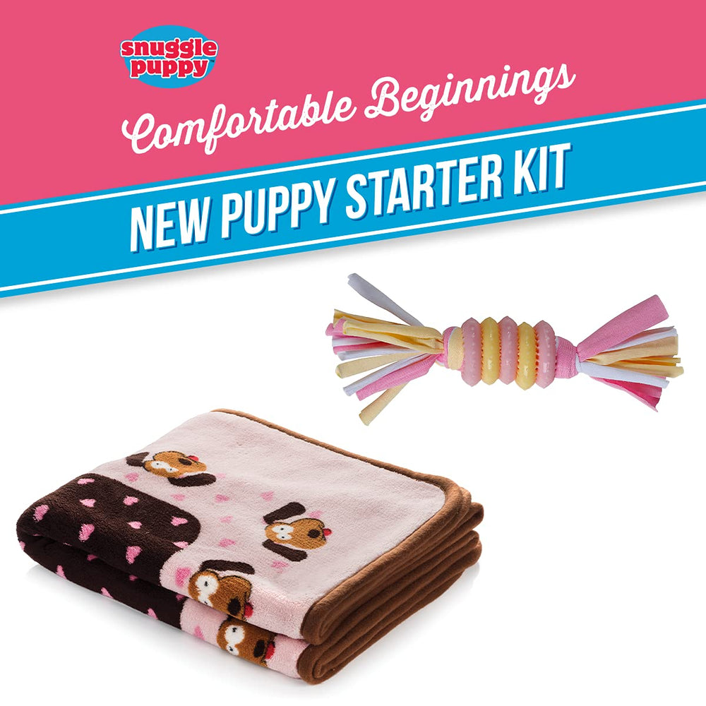 Snuggle Puppy teething toy frozen for soothing puppy gums
