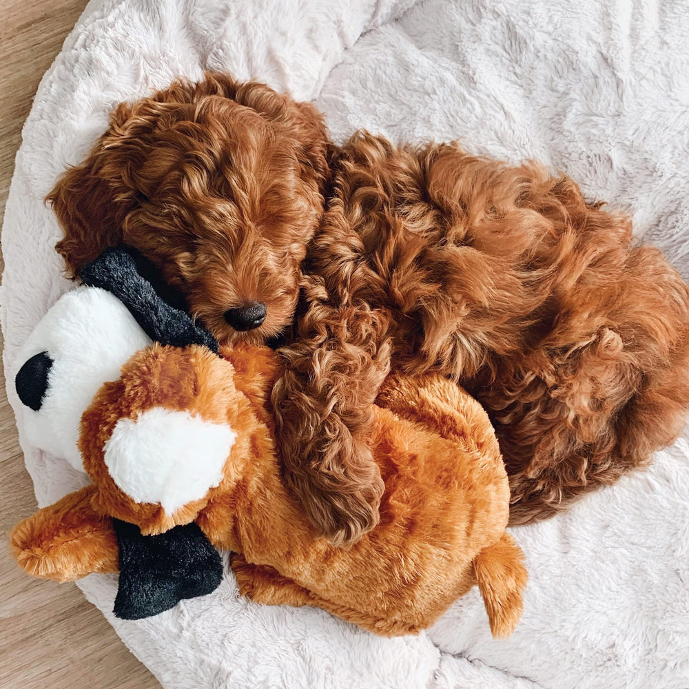 Snuggle Puppy replacement heart—continuous mode and 8-hour option illustrated.