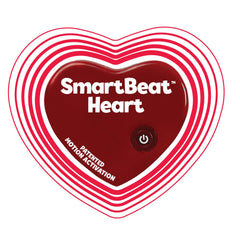 Snuggle Puppy replacement heart—front view with authentic beat that calms anxious dogs.
