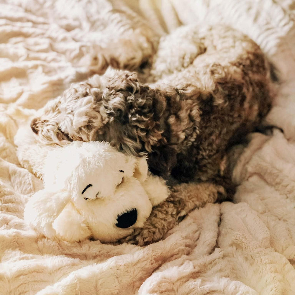 Snuggle Puppy replacement heart—in toy, showing how it fits snugly.