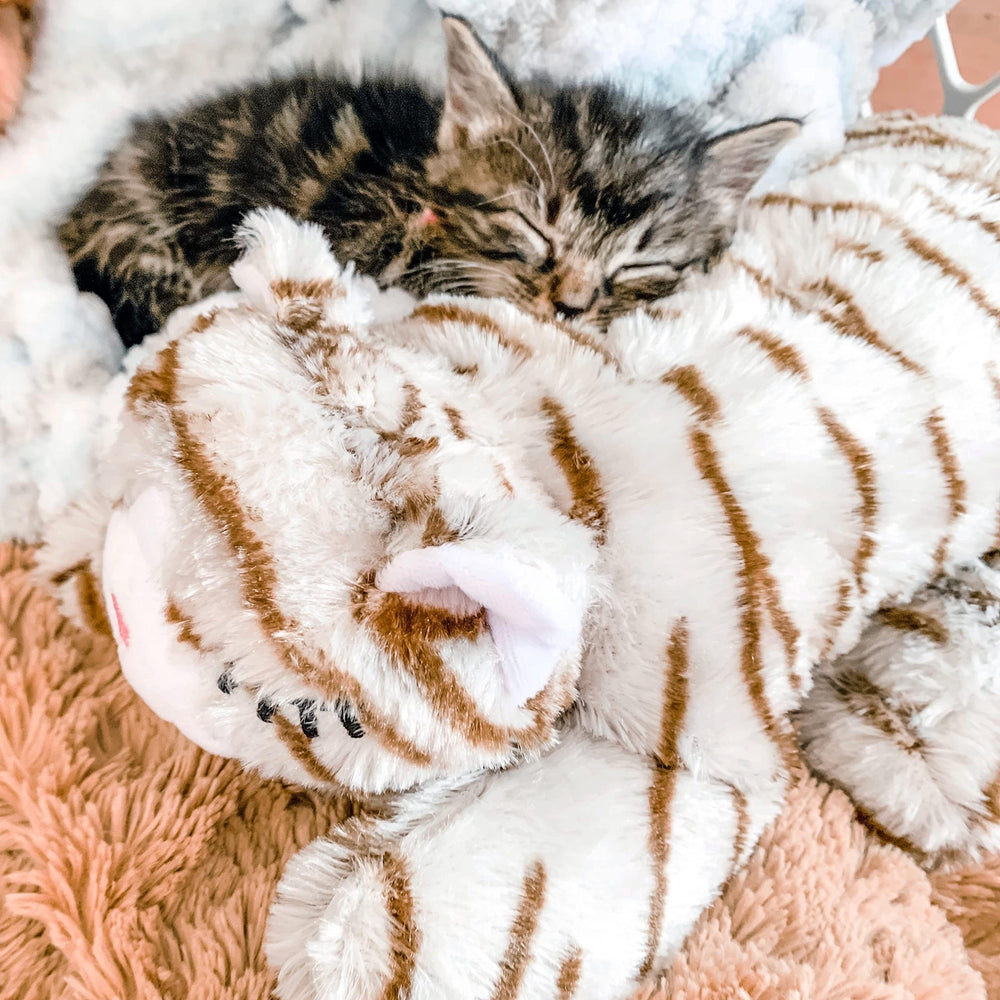 Snuggle Puppy replacement heart—packaging photo highlighting US-based support.