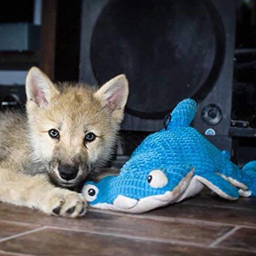 Snuggle Puppy Tender-Tuffs hammerhead being chewed by a dog, demonstrating durable design.