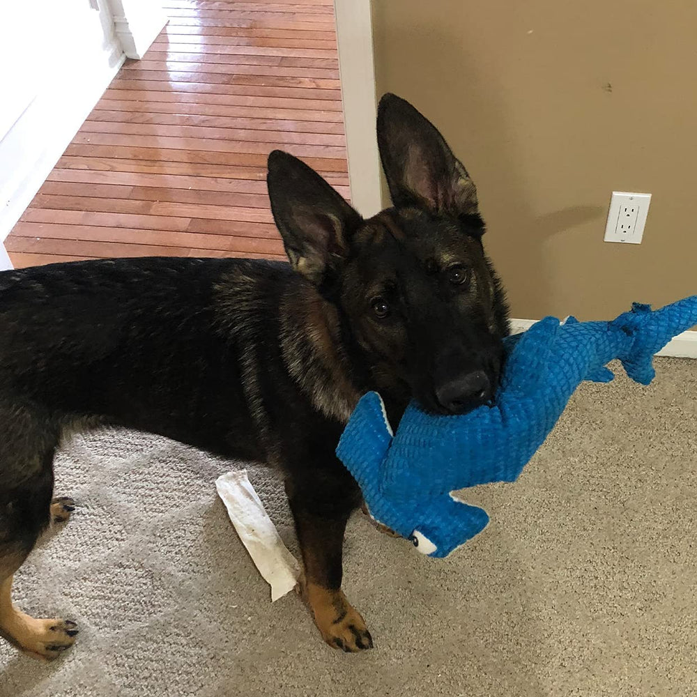 Snuggle Puppy Tender-Tuffs hammerhead suited for medium to large breeds during daily play.