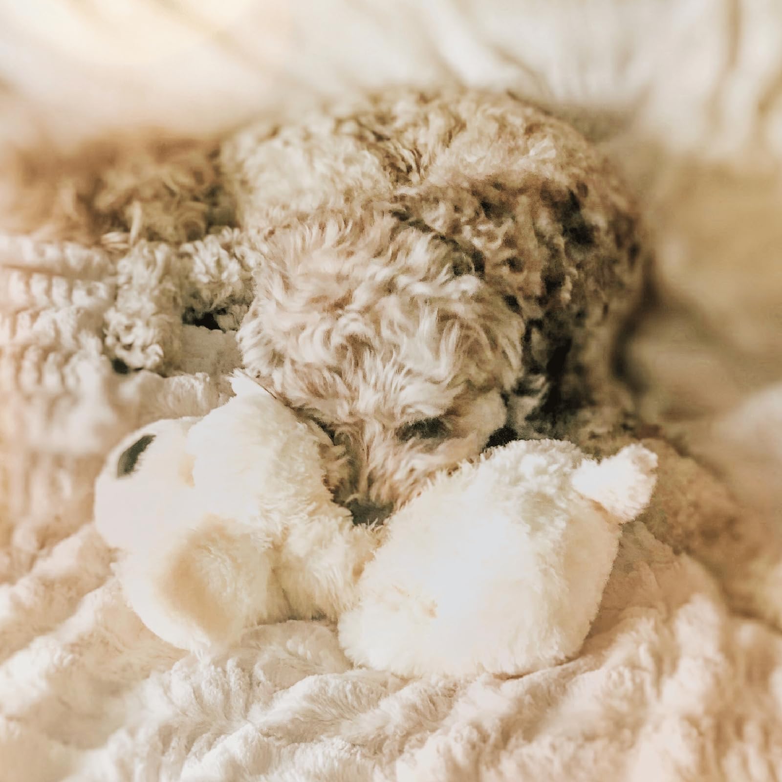 Snuggle Puppy washable plush cover simplifies post-play cleanup.