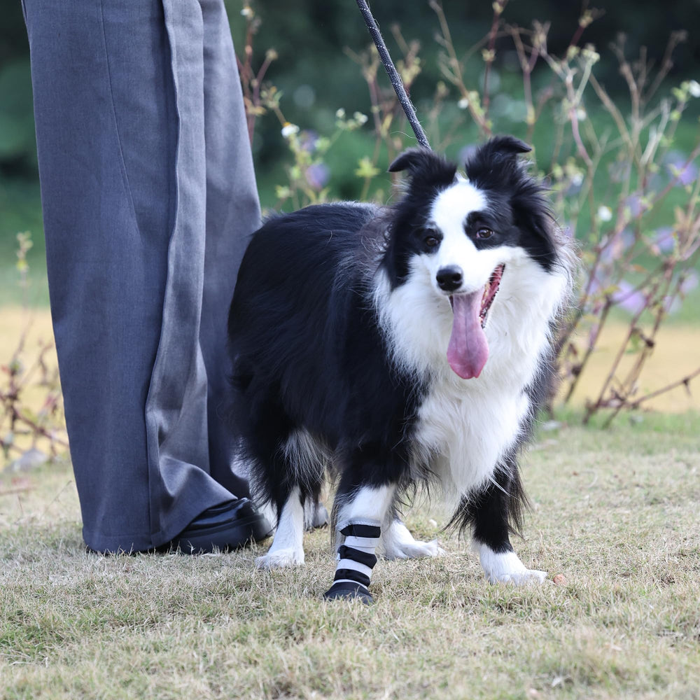 Snugrance dog paw boot soft interior for comfortable wear.
