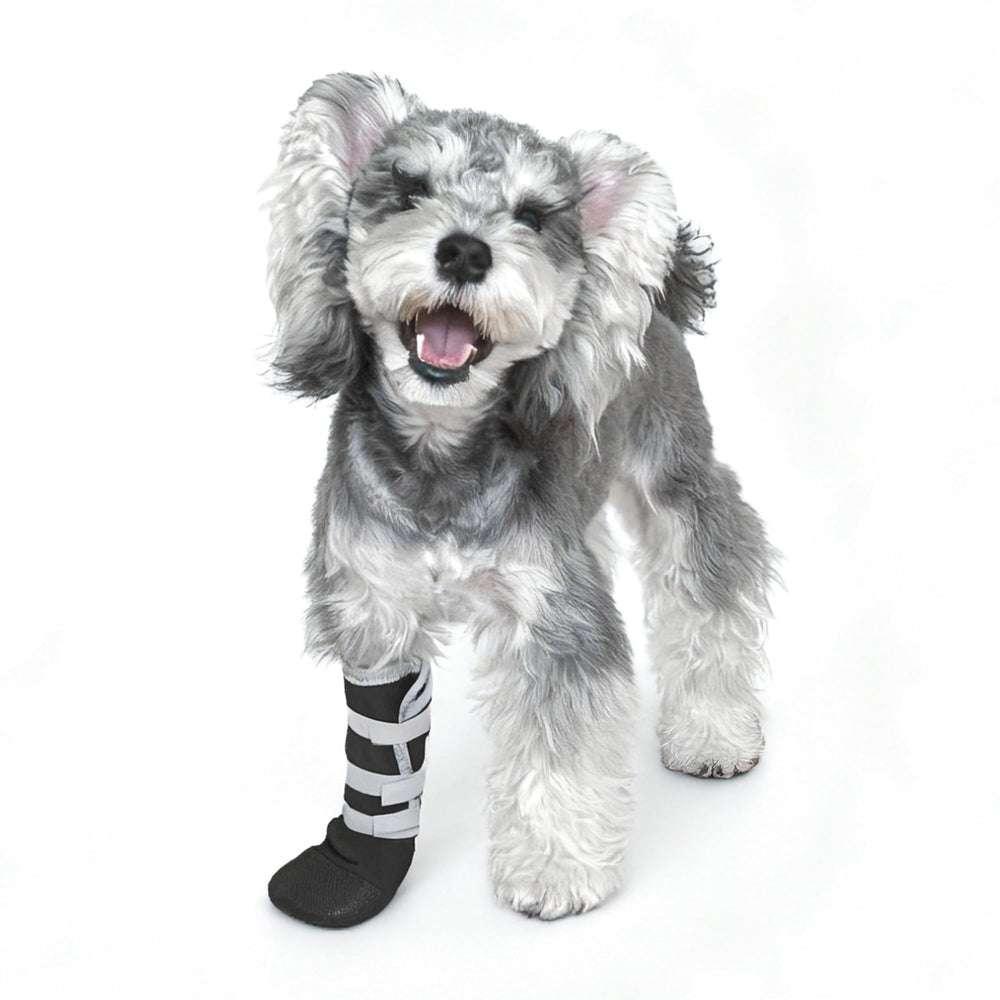 Snugrance dog paw boot post-surgery protection for healing and licking prevention.