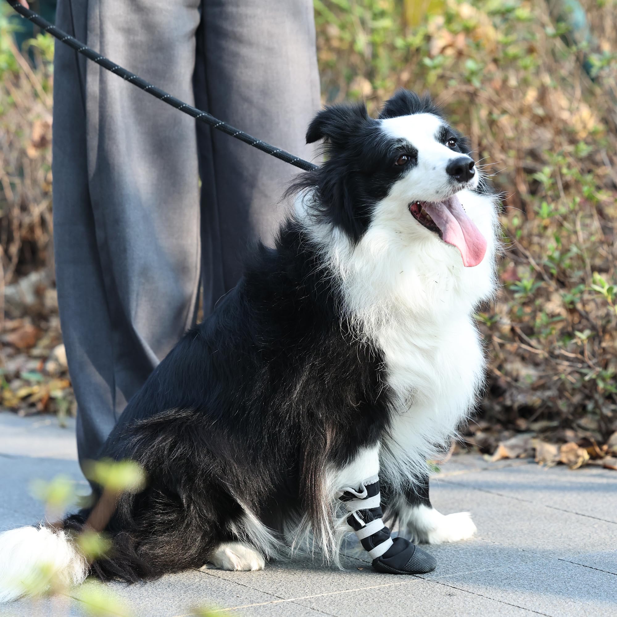 Snugrance size L fits medium to large dogs securely.