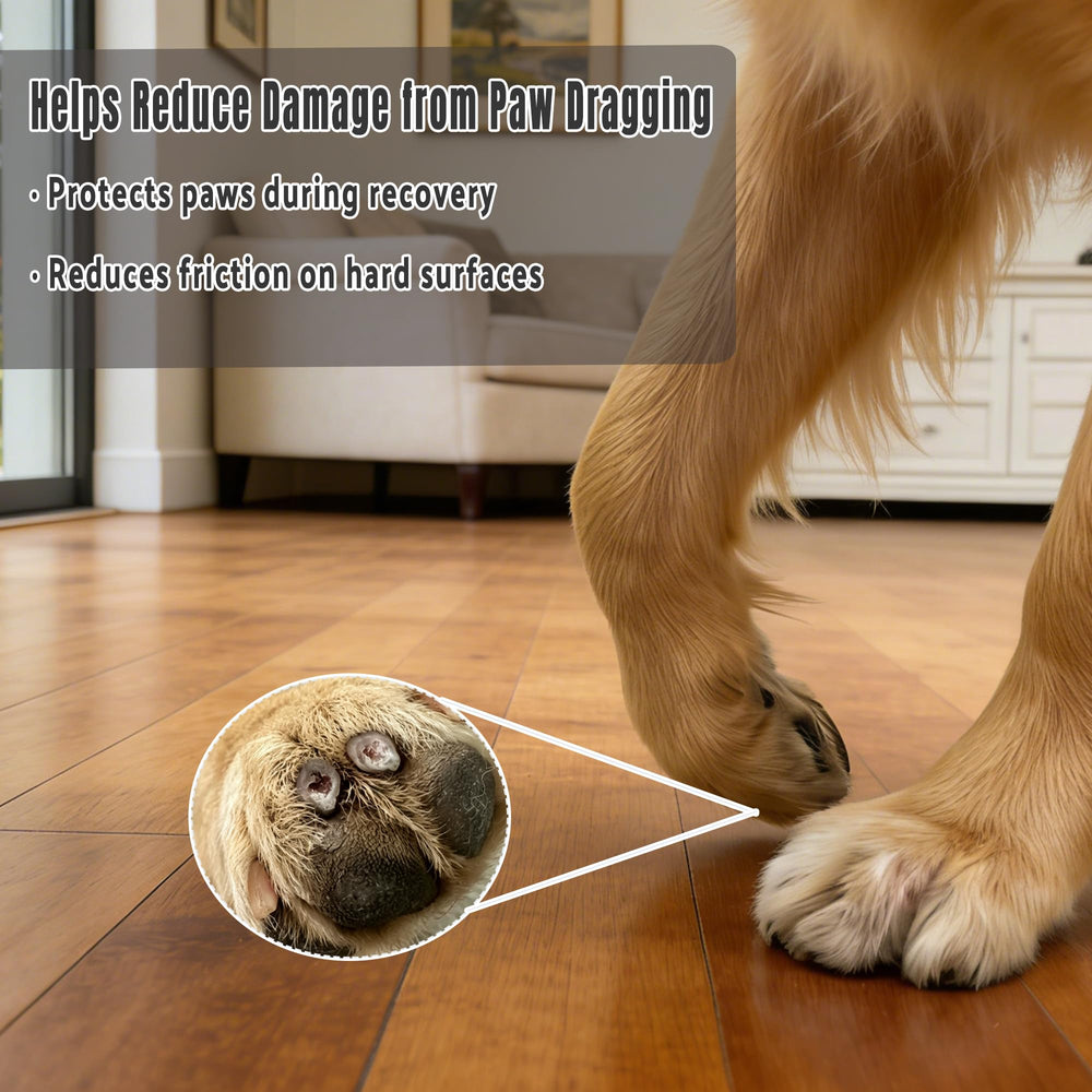 Snugrance dog paw boot non-slip-outsole protecting traction on surfaces.