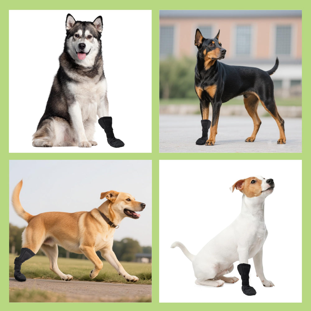 Snugrance M size fits medium to large dogs securely.