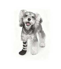 Snugrance dog paw wound boot XL offers post-surgery protection.