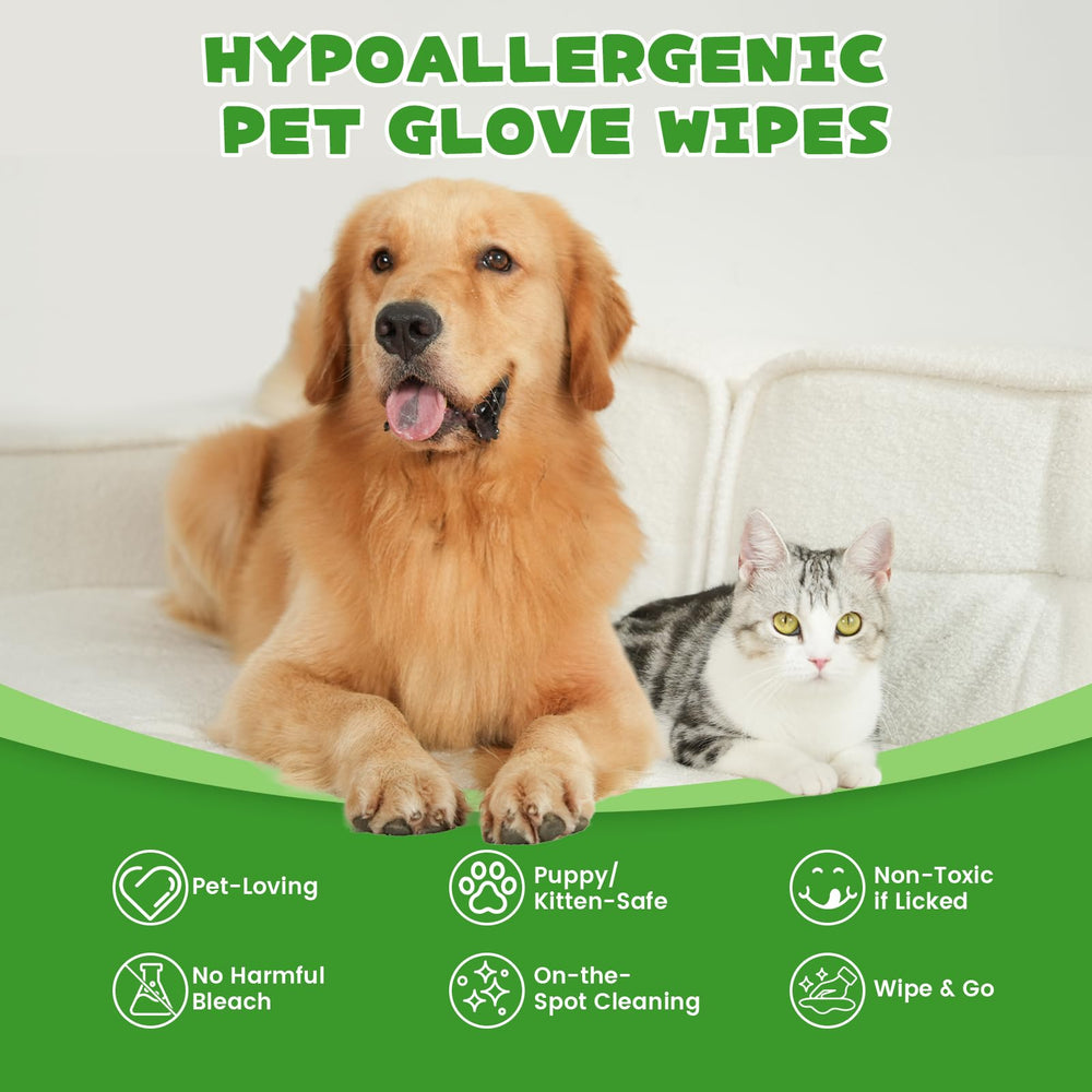 SnugTail Pet Wipes in use on a paw after a walk for quick cleanup