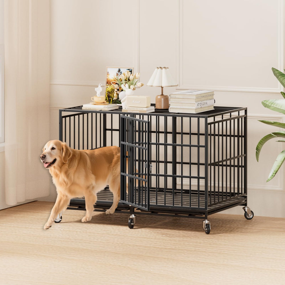 Snuowu crate with removable tray offers quick cleanup and maintenance.