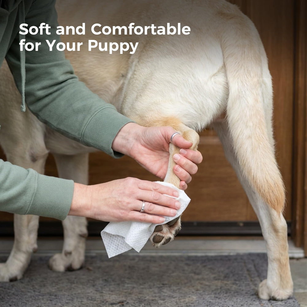 Snuvid 8x8 large wipes—thick, textured, absorbent for quick cleanup.