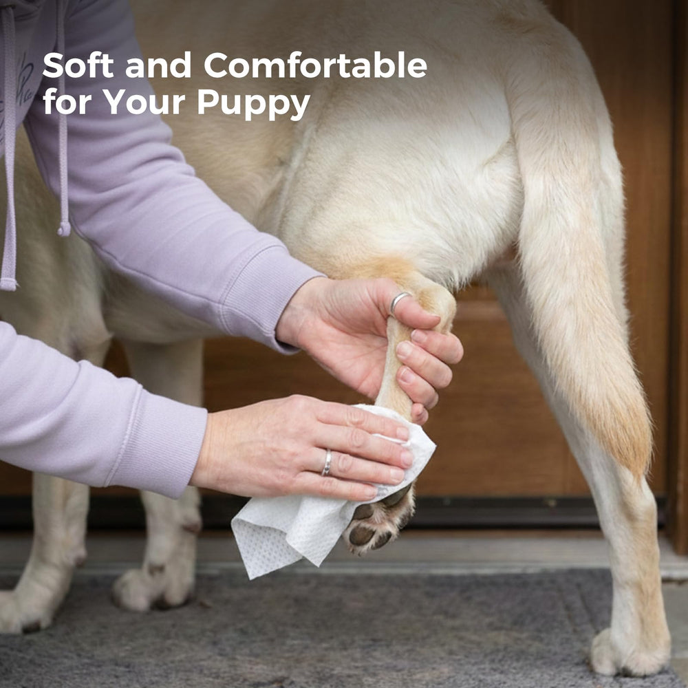 Snuvid portable resealable pouch keeps wipes ready on the go