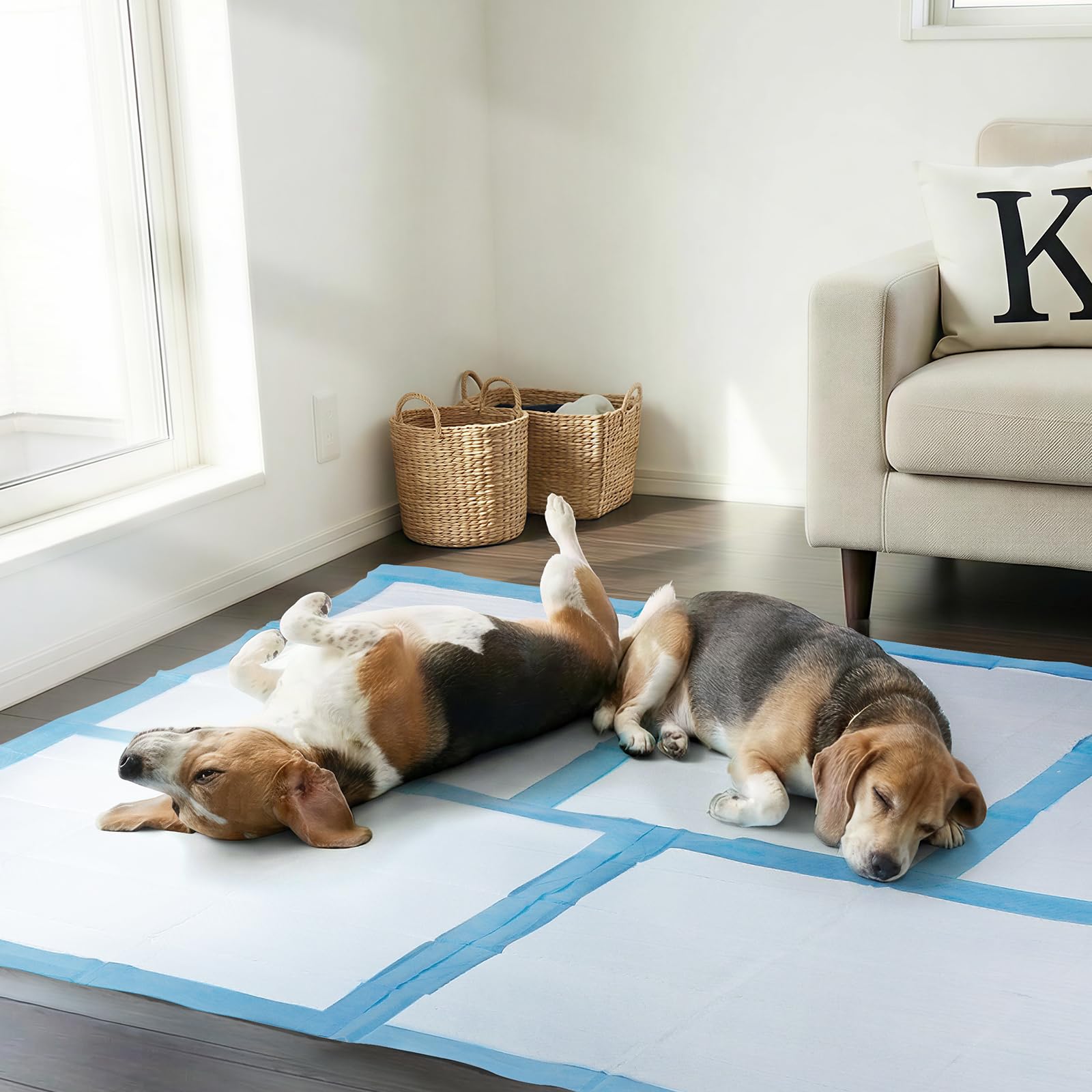 Snuvid bulk pads for multi-pet home use and convenience