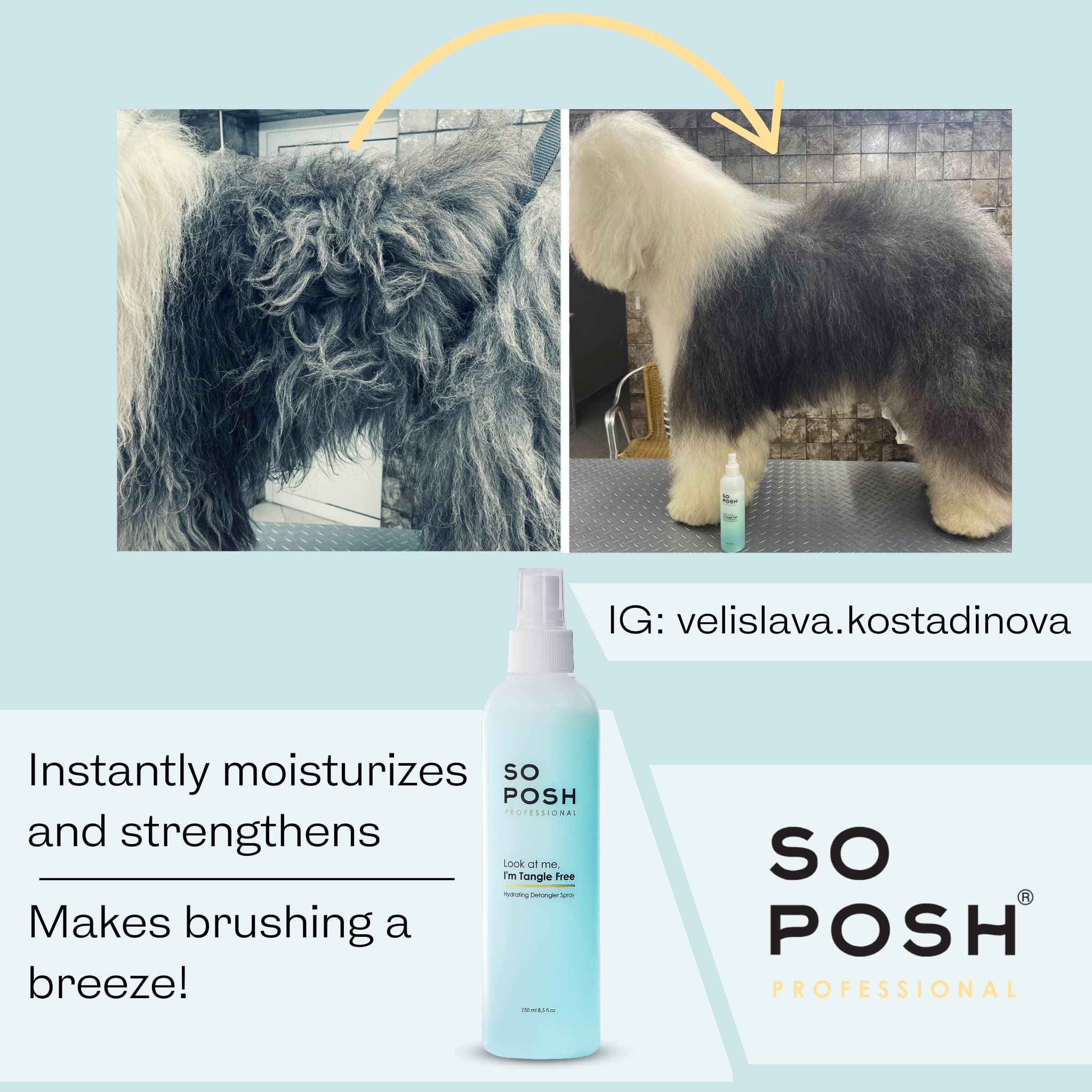 So Posh Look at Me I'm Tangle Free packaging shows 8.4 oz conditioning spray.