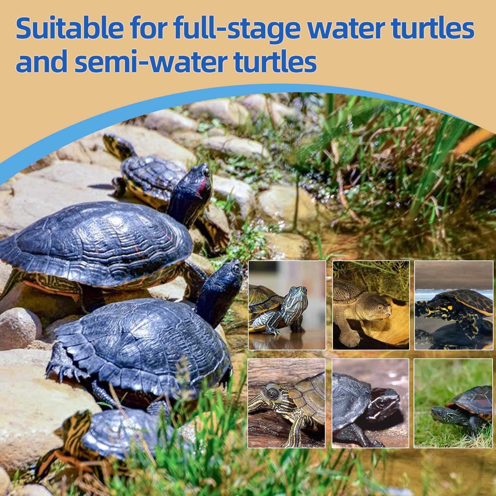 Sobirdos 3-in-1 protein mix supports growth and vitality in pet turtles.