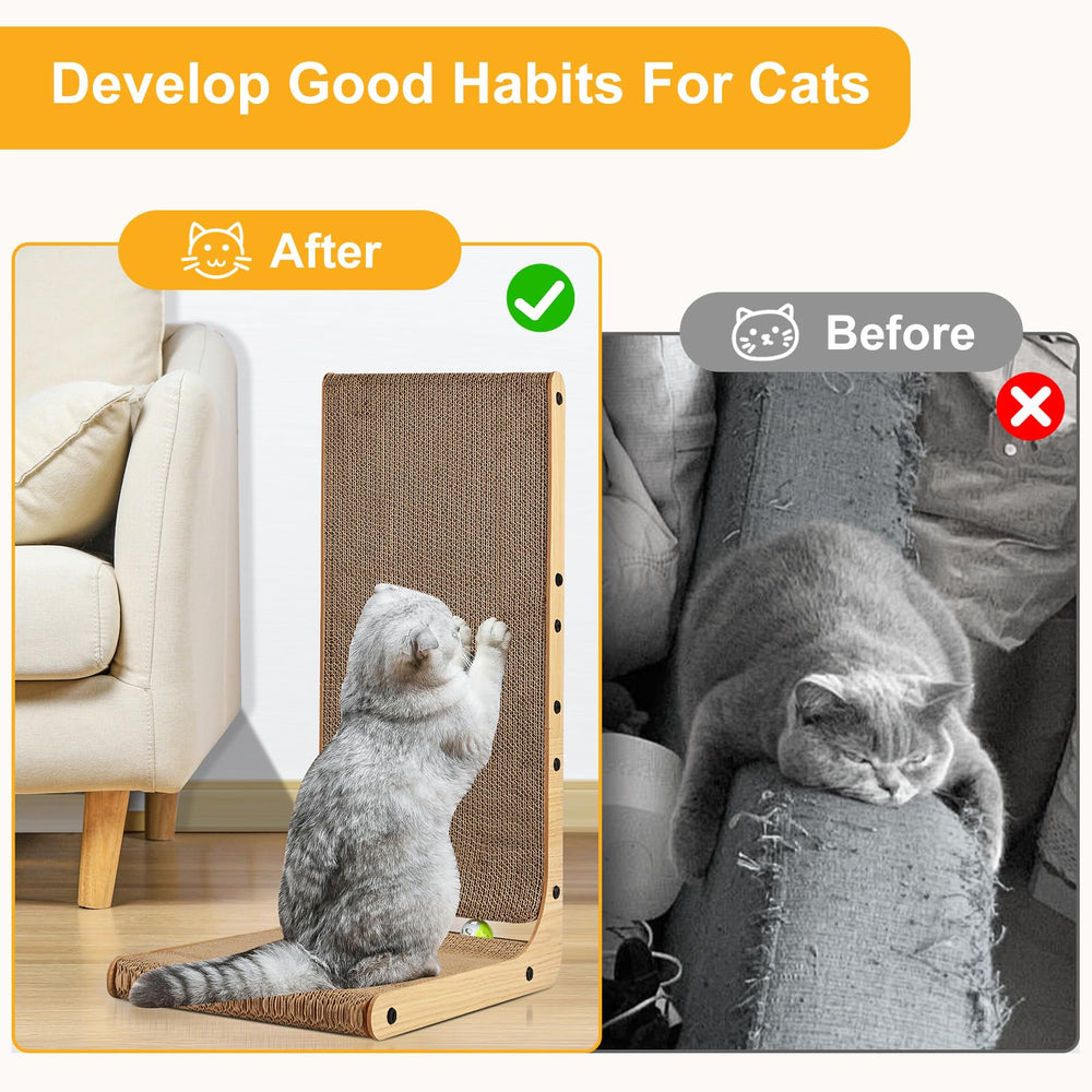 SOCATER Indoor enrichment with ball toy encourages exercise and reduces boredom