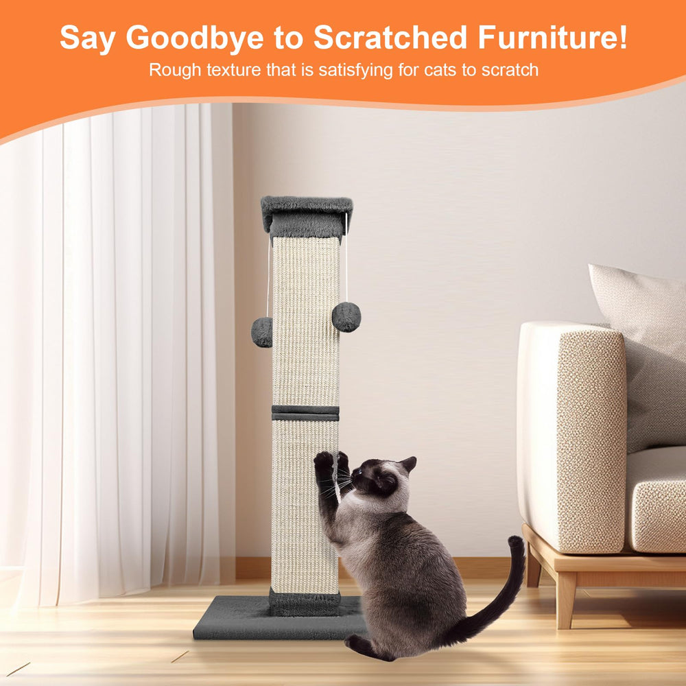 SOCATER sturdy middle structure enhances stability for confident scratching sessions.
