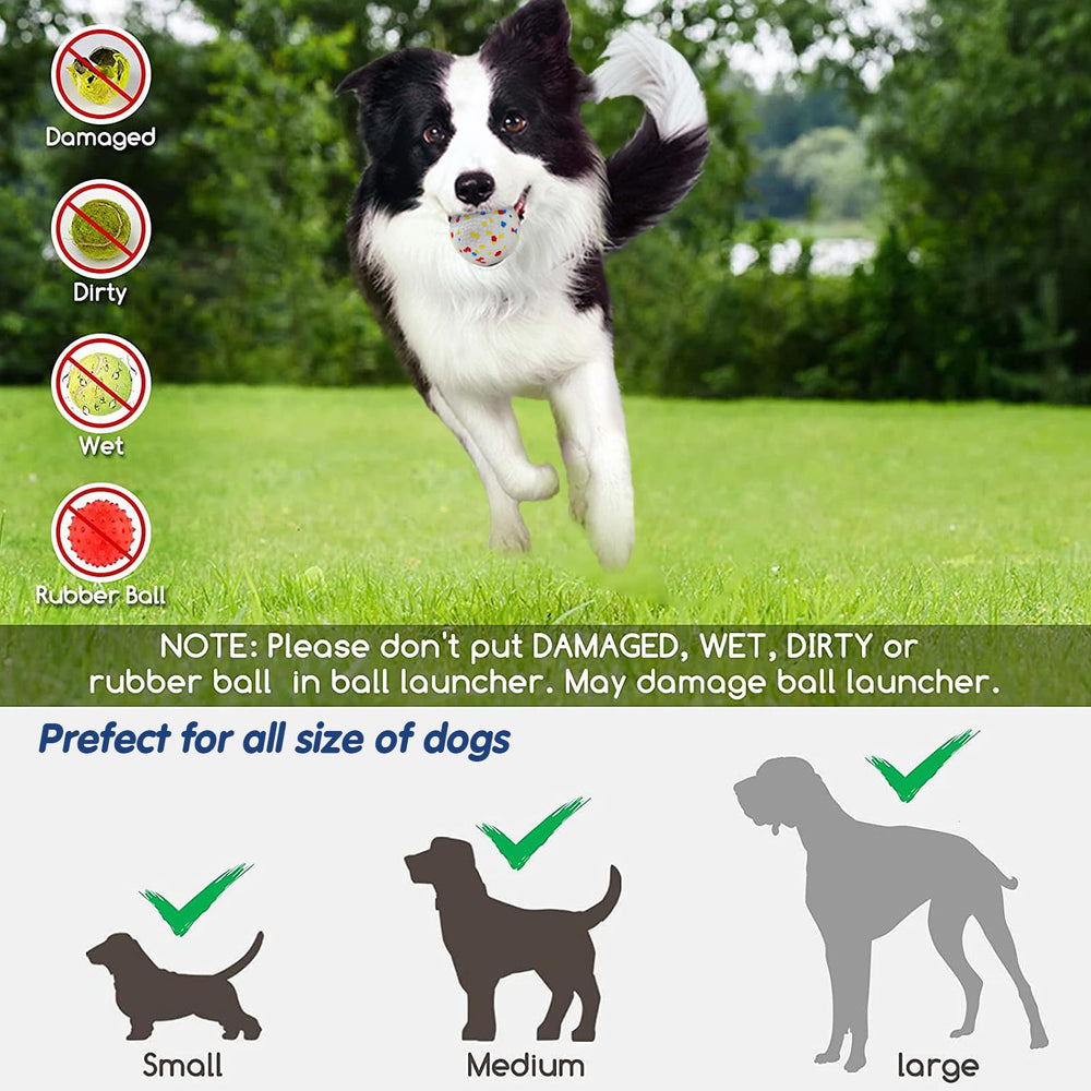 SOCO fetch kit includes remote and six balls for quick setup.