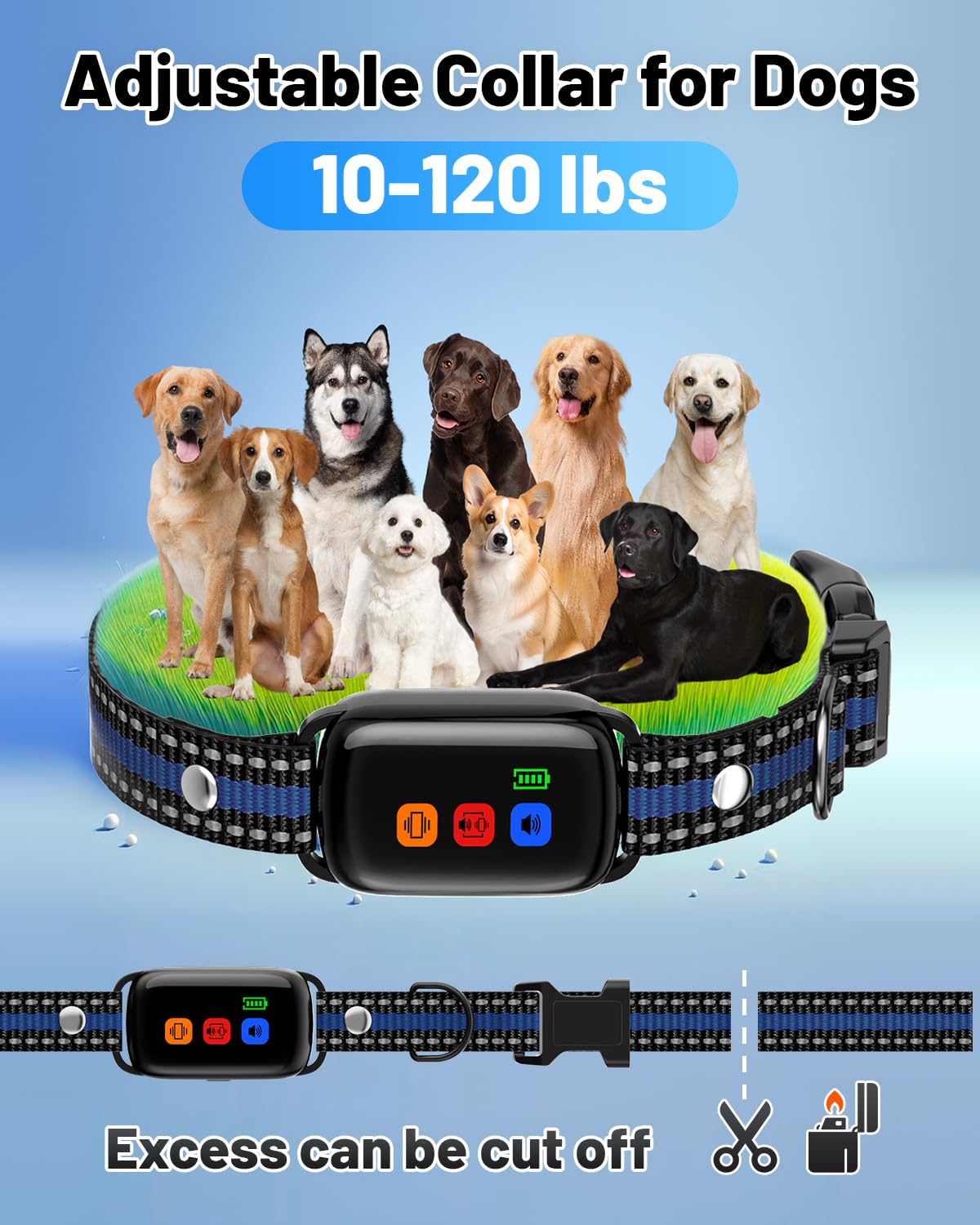SODOG safe lock prevents accidental remote changes.