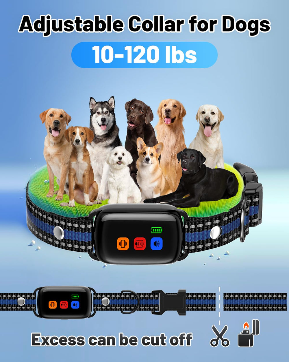 SODOG safe lock prevents accidental remote changes.