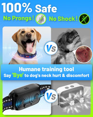 SODOG waterproof collar for outdoor training and rain-friendly sessions.