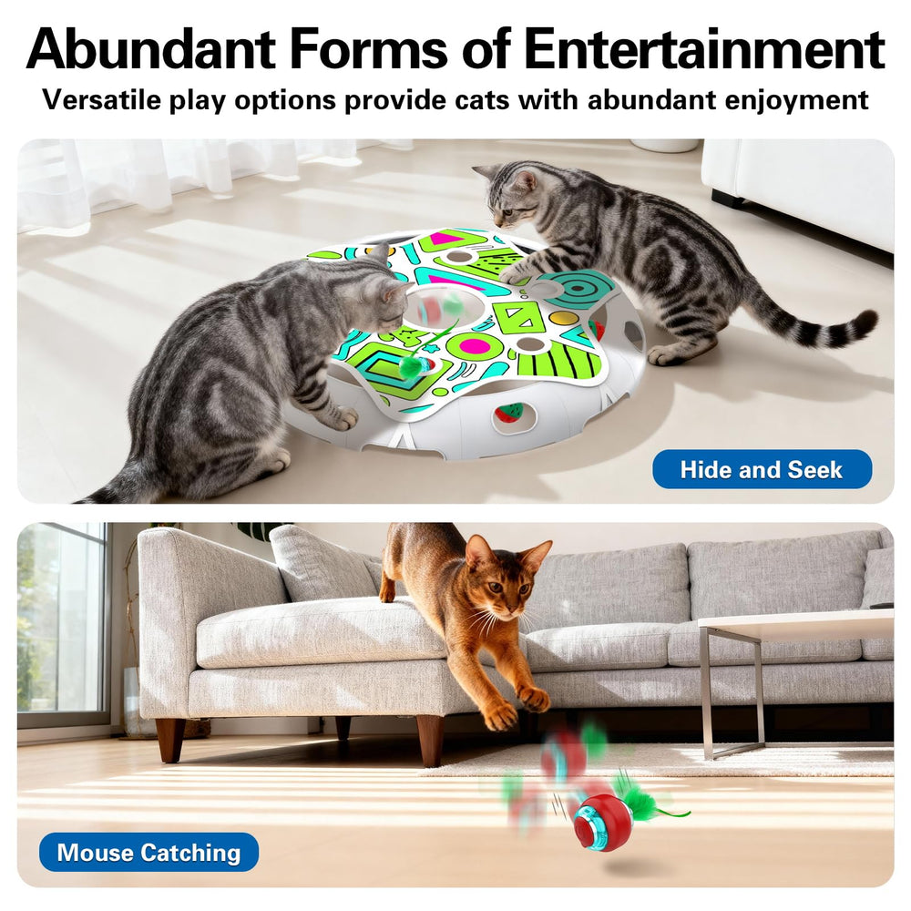 Sofolor indoor play setup for cats supporting solo and group play