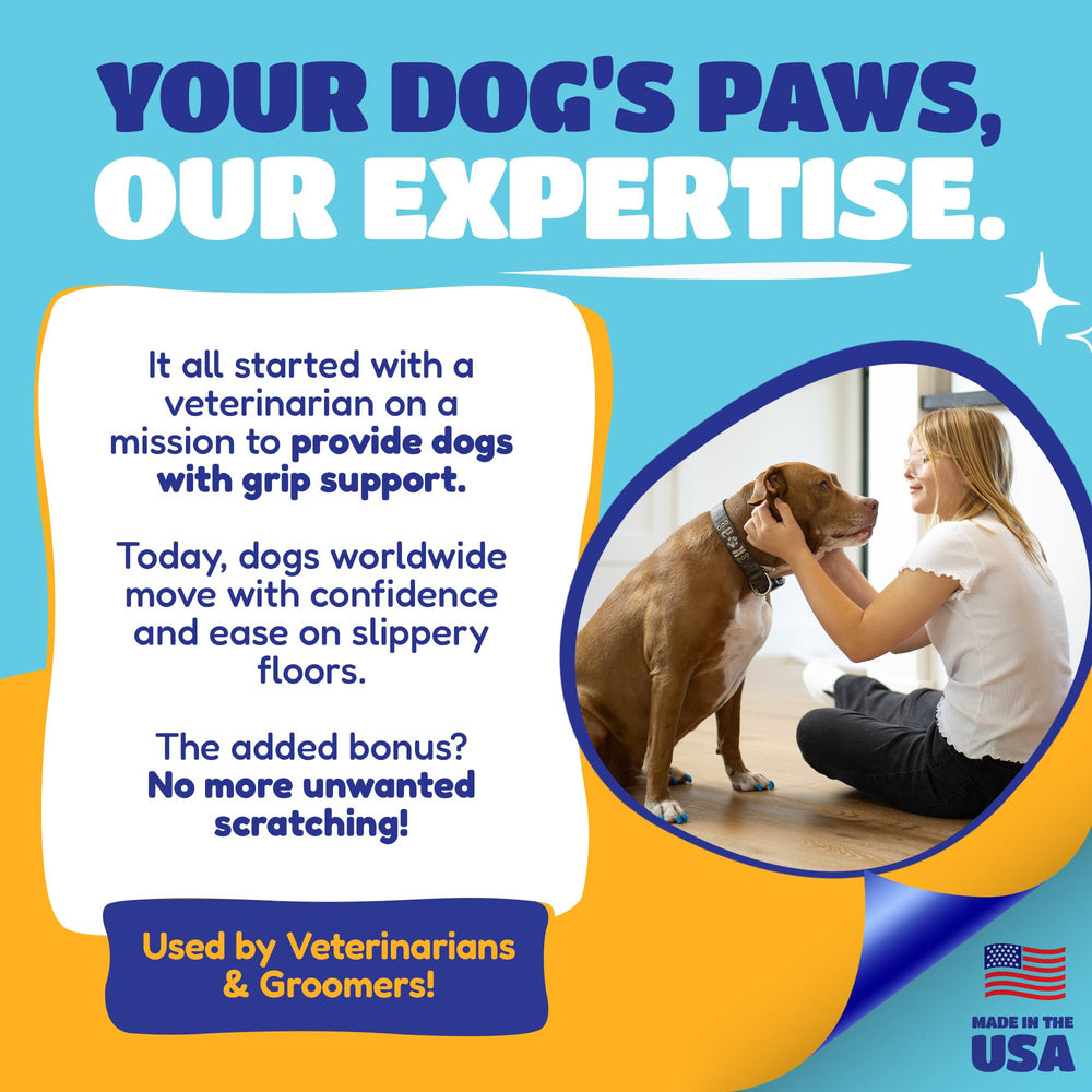 Soft Claws nail caps visible on dog nails supporting house safety and care