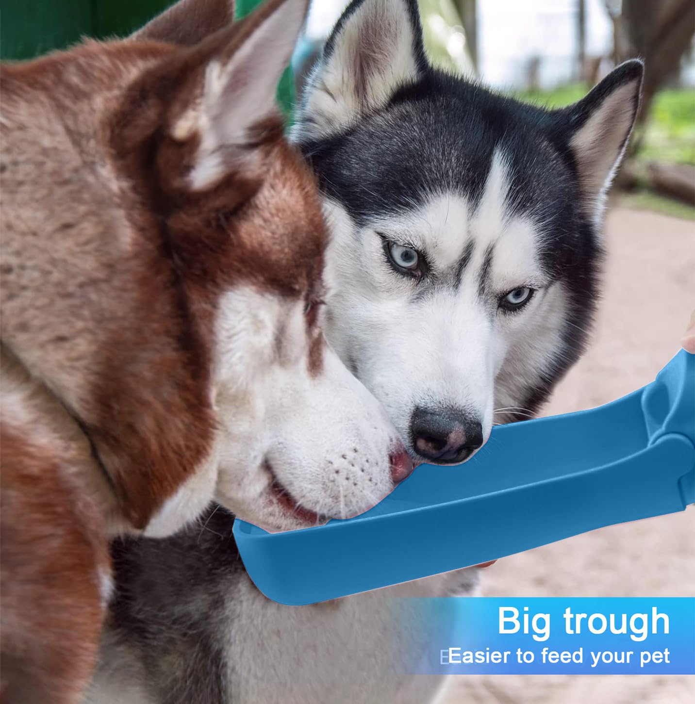 SOICTA travel bottle ideal for dogs and small animals outdoors