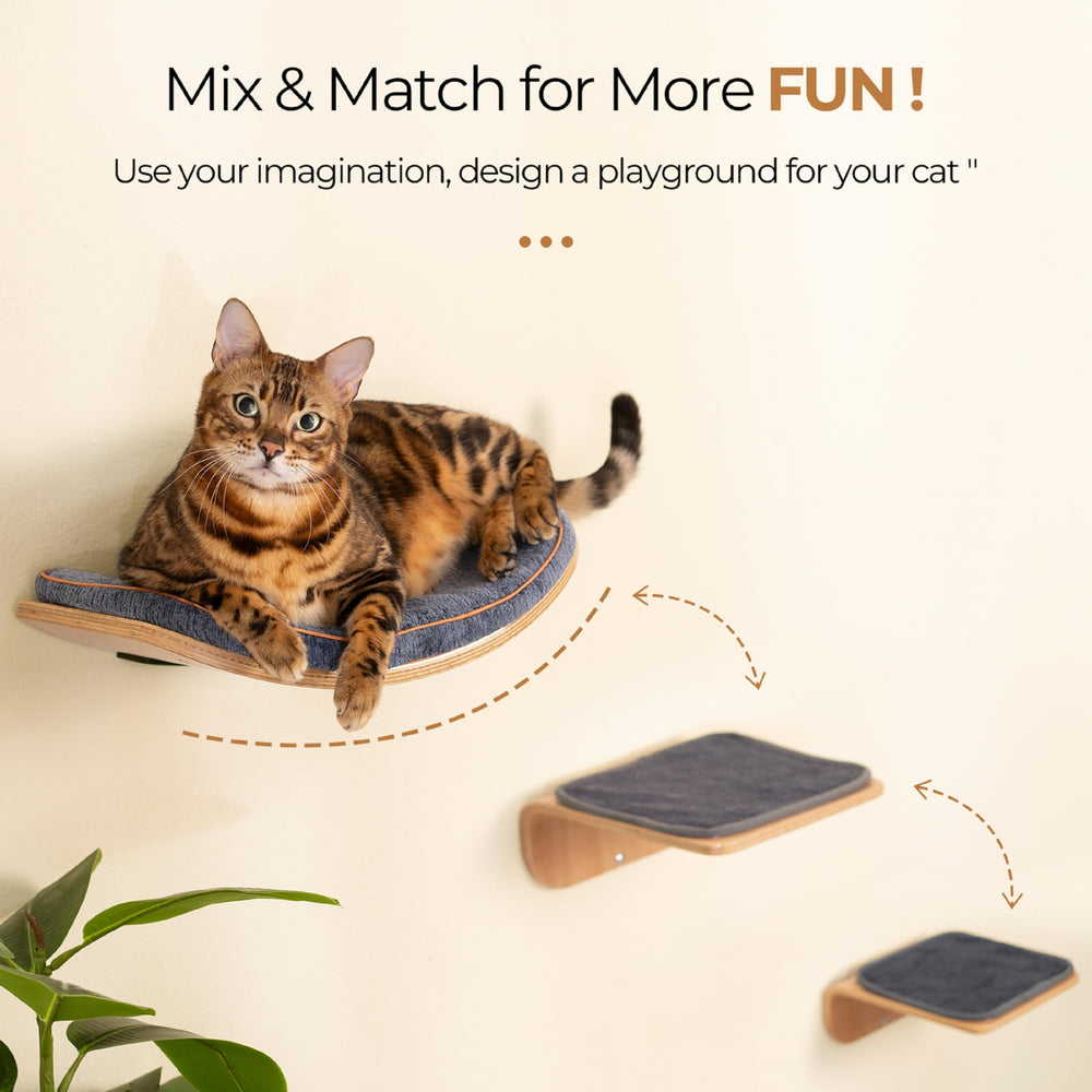 SOJILET climbing wall setup keeps cats active while conserving floor space.